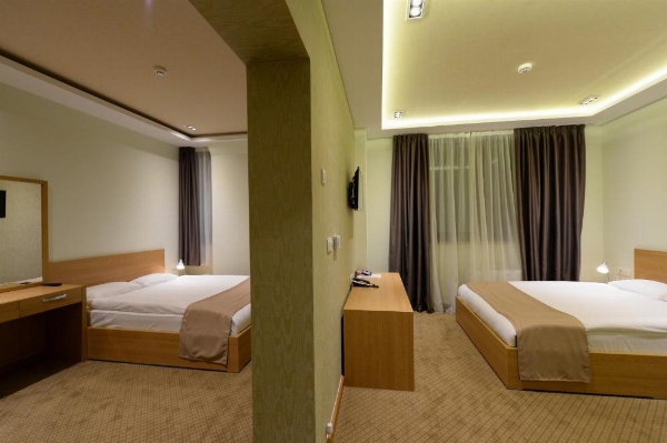 Hotel Hedonic image 36