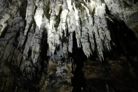 Tour image 12