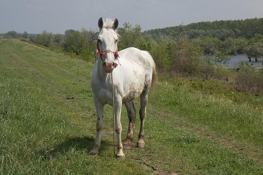 Tour image 4
