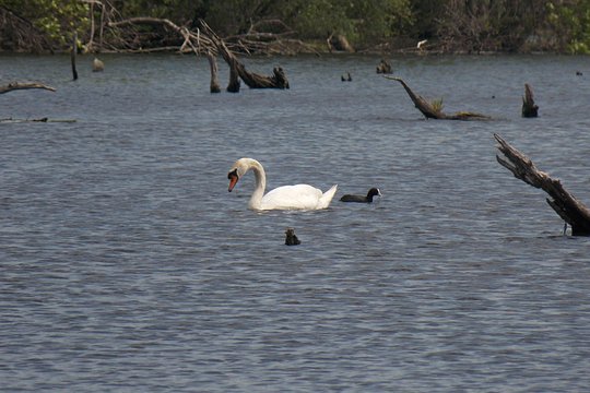 Tour image 8