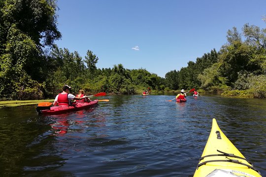 Tour image 1