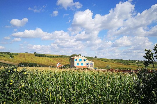 Tour image 3