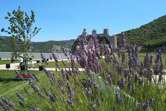 Tour image 1