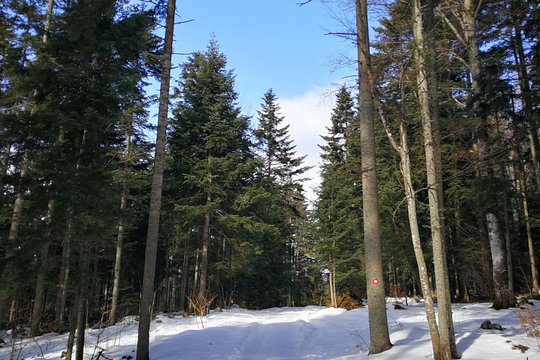Tour image 9